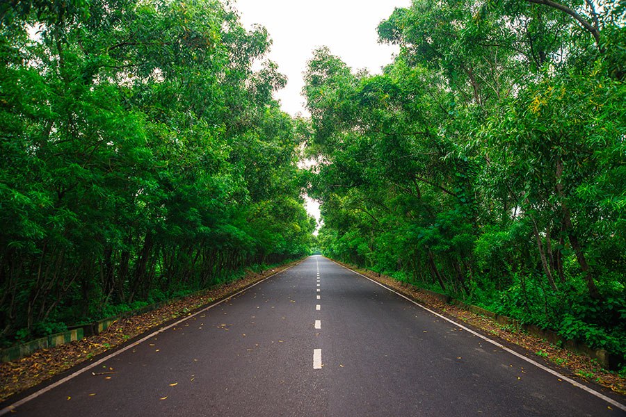 সবুজ গাছপালায় ঘেরা প্রশস্ত সড়ক